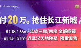 武汉李先生最新爆料新闻,揭秘XX事件背后真相